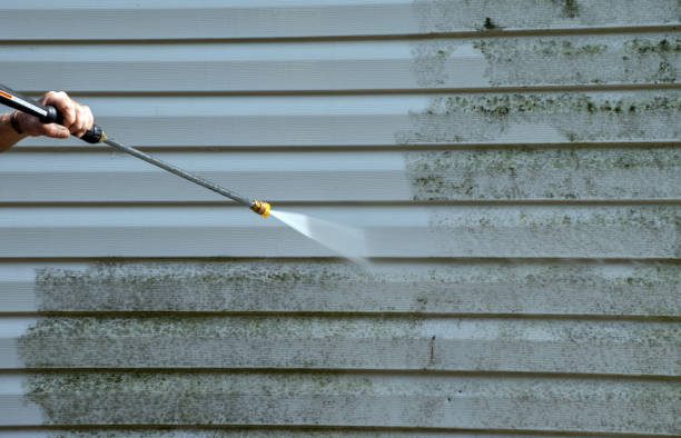 Best House Pressure Washing  in Puget Island, WA
