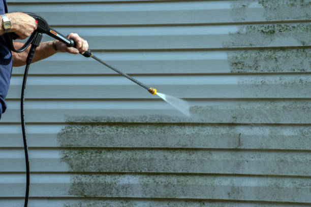 Best Pressure Washing Brick  in Puget Island, WA