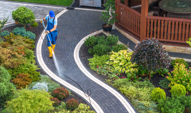 Best Best Pressure Washing Companies  in Puget Island, WA